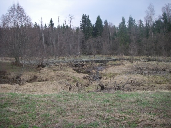 i-4791.jpg