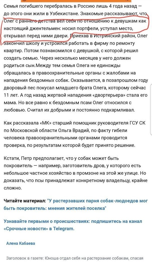 15839181.jpg