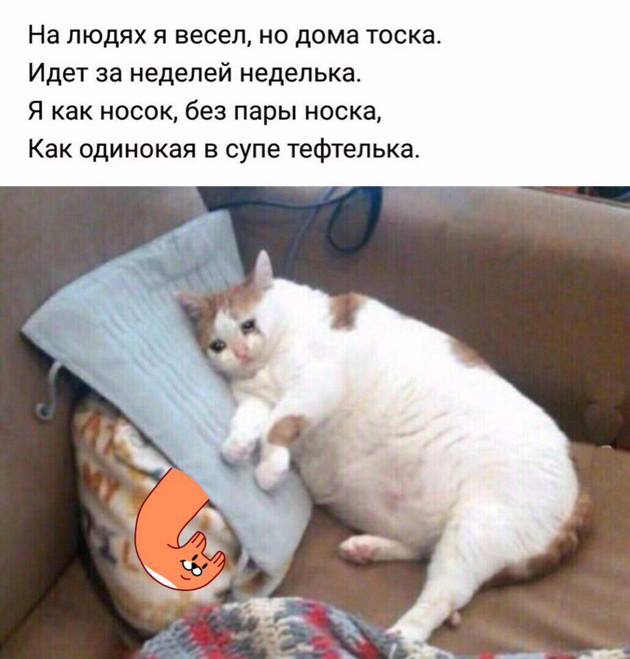fRjkd87AiaE.jpg