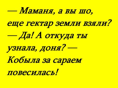 4J9ZZClLZAU.jpg