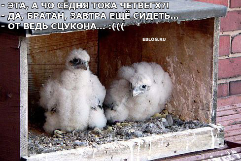 funfotos_01.jpg