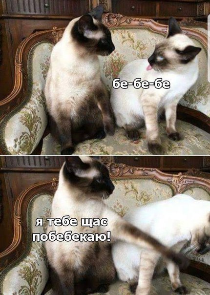 mhrQeo7ZHtE.jpg