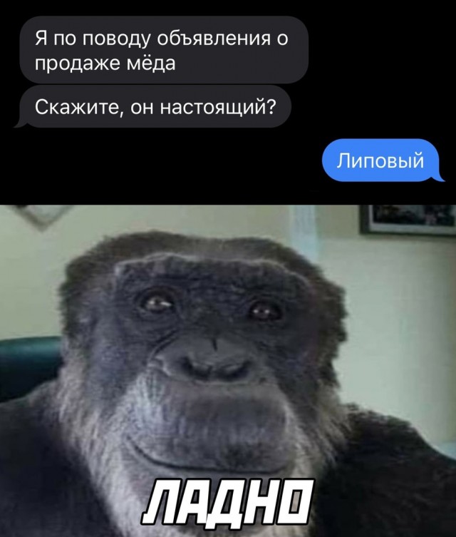 16418390.jpg