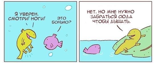 Ep17mvi2CNQ.jpg