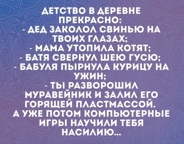 16251593.jpg
