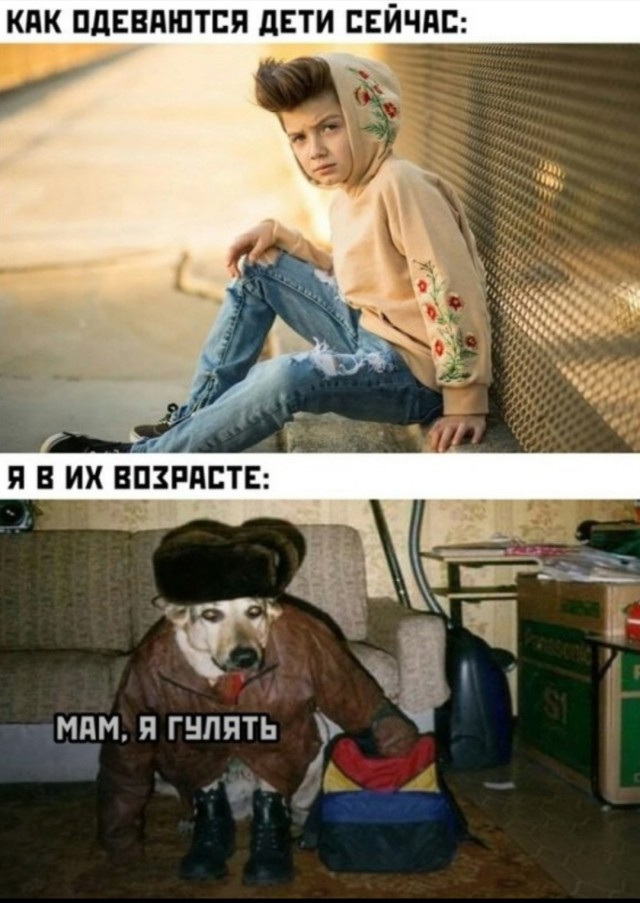 15968250.jpg
