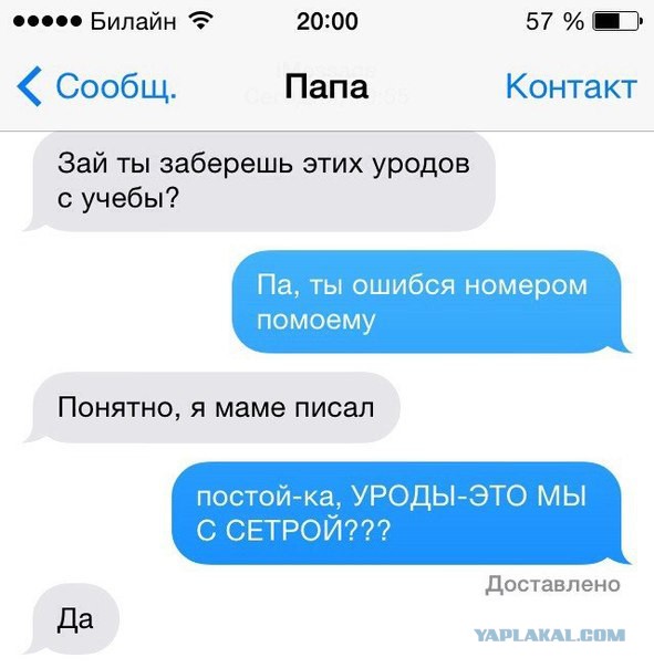 3004223.jpg