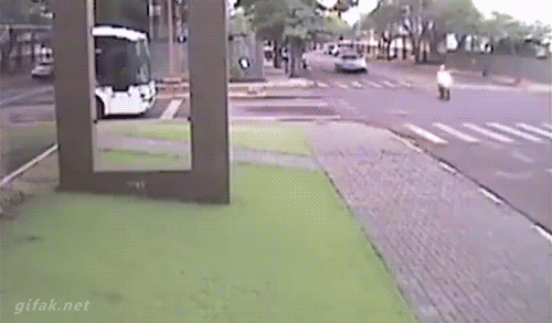 tumblr_nf4qeqSW0M1s2yegdo1_500.gif