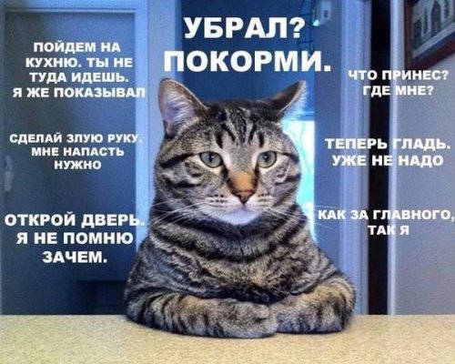 1423585044_fotomemy.jpg