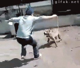 tumblr_n4fm7pXclm1s2yegdo1_r1_400.gif