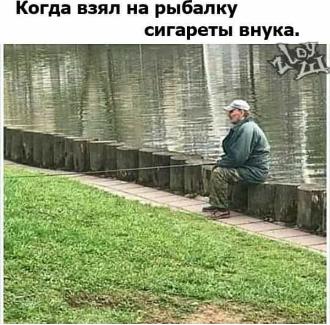 14709509.jpg