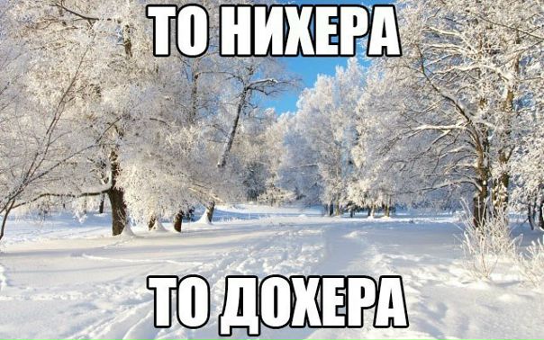 XxO83-X4FI4.jpg