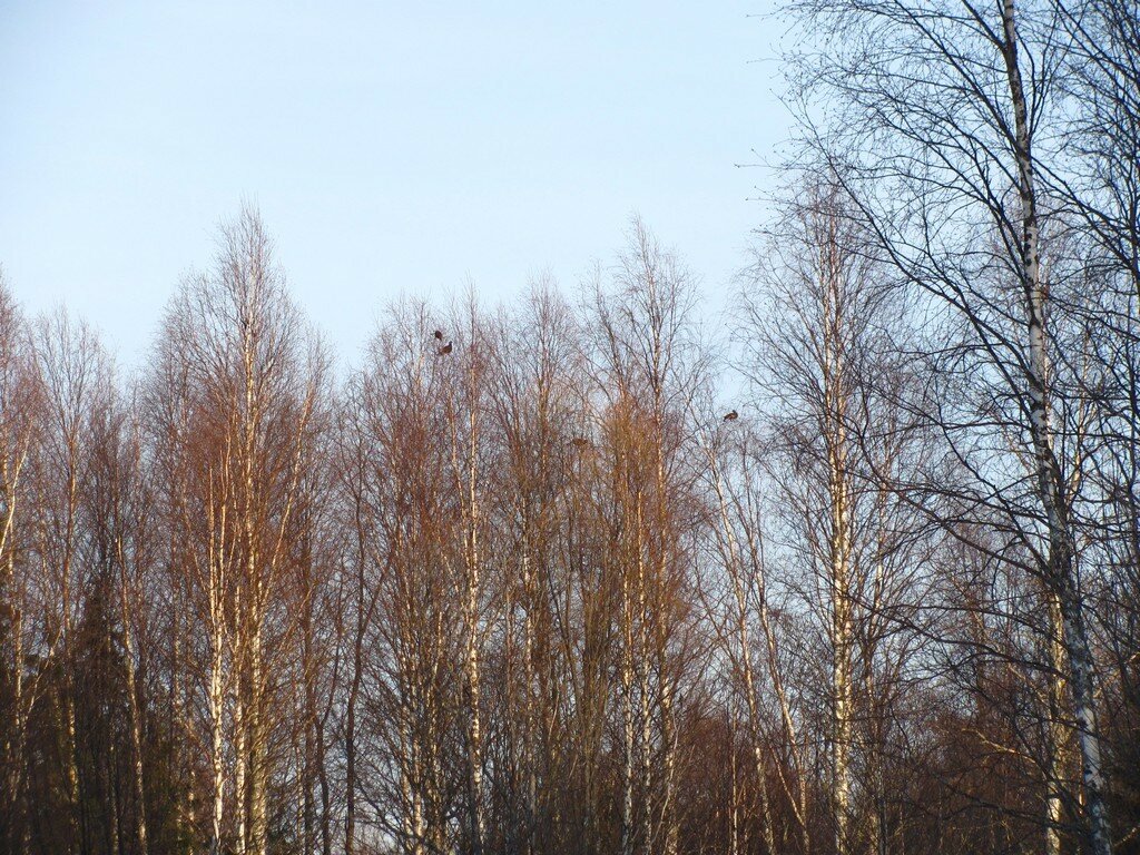 0_f41a9_1235b872_XXL.jpg