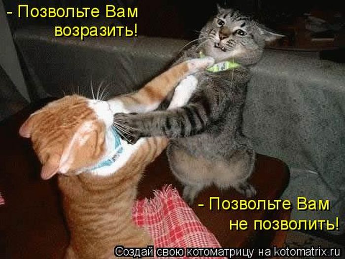 1299810352_kotomatritsa-4.jpg