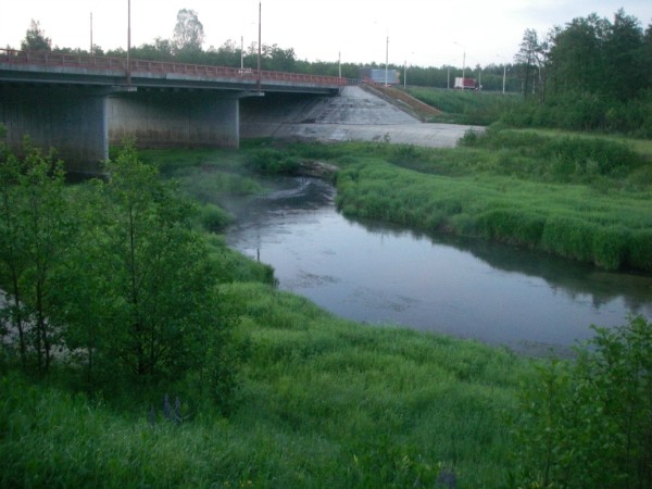 i-4884.jpg