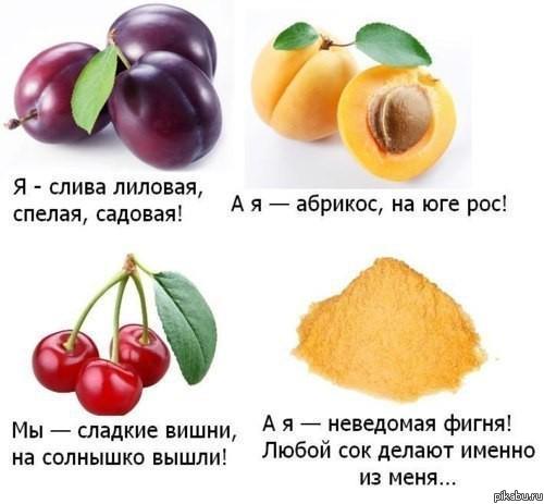 8zy.jpg