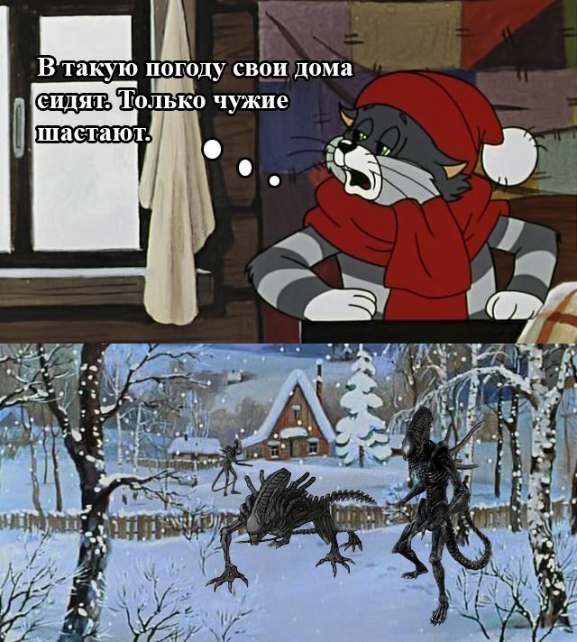 DlyZBgYS5IY.jpg