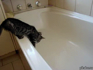 185b0b.gif