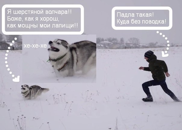 N46w2es7Yfc.jpg