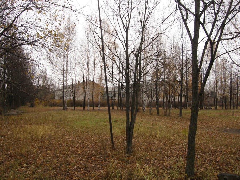 PA160871.JPG