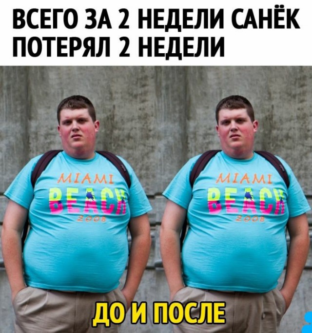 15272495.jpg