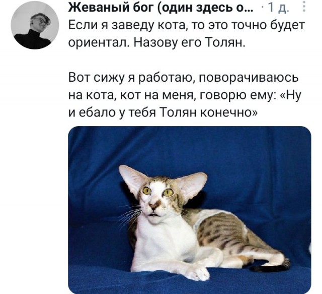 15756323.jpg