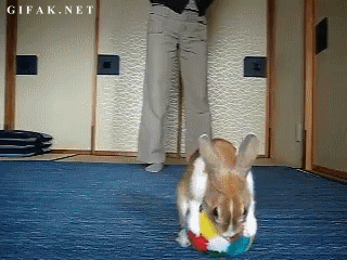 3.gif