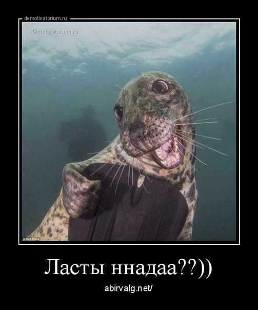KVhSfhAfbk4.jpg