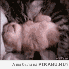 583802.gif