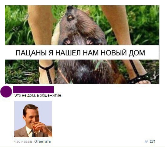uLZmn6nK0-4.jpg