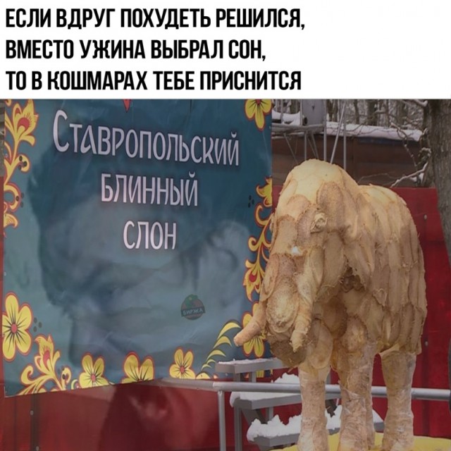 15331235.jpg