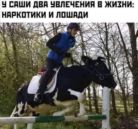 15590510.jpg