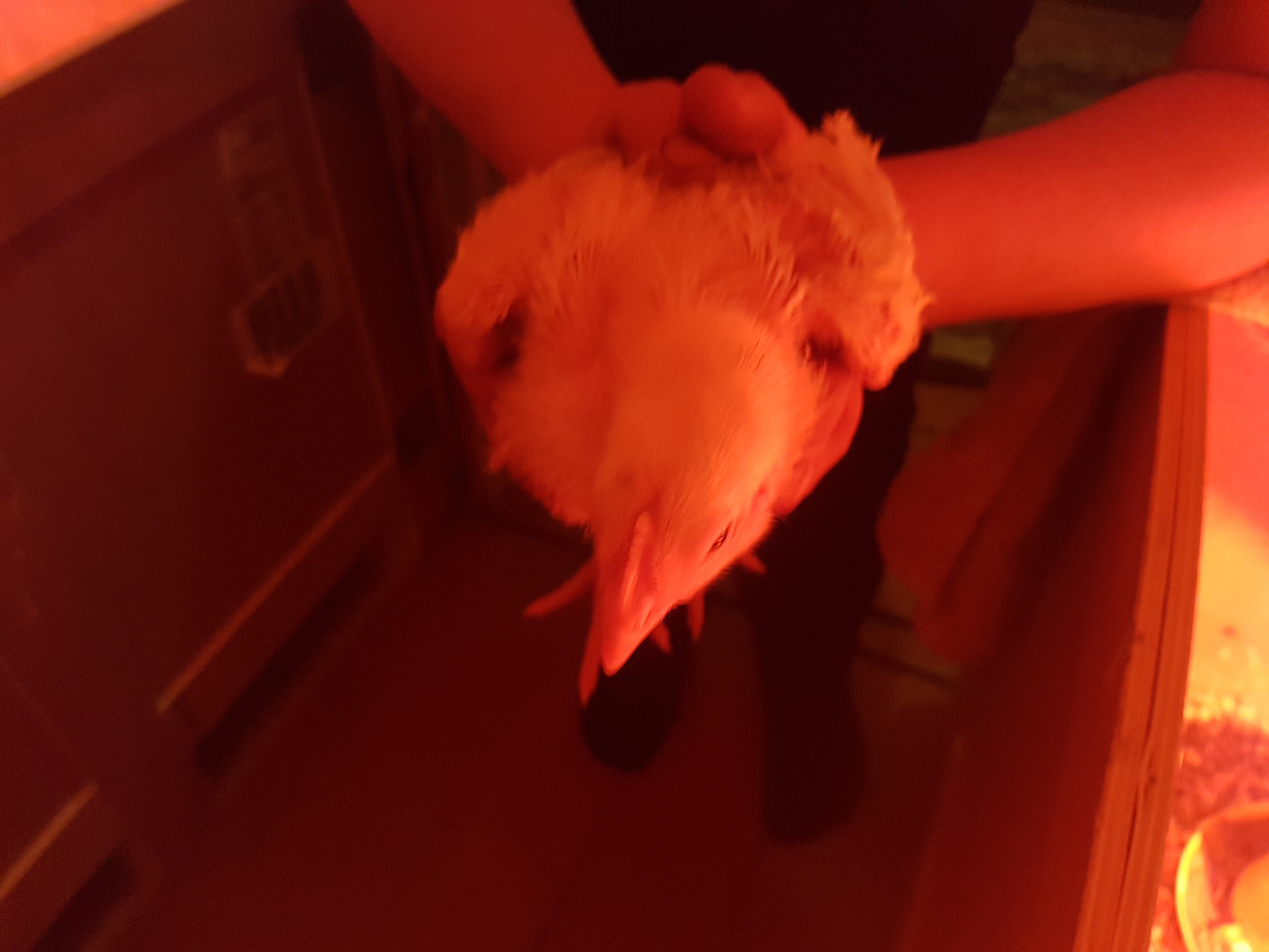 0_572660_56b97c0a_orig