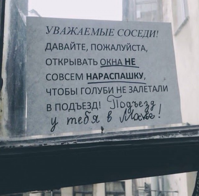 13517180.jpg