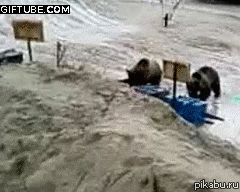 5e6b7b.gif