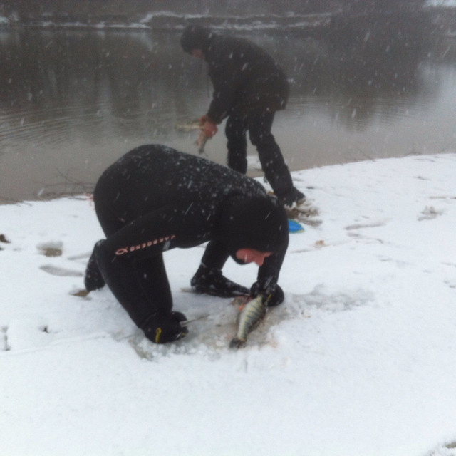 16417998451_2b2a901be4_z_d.jpg