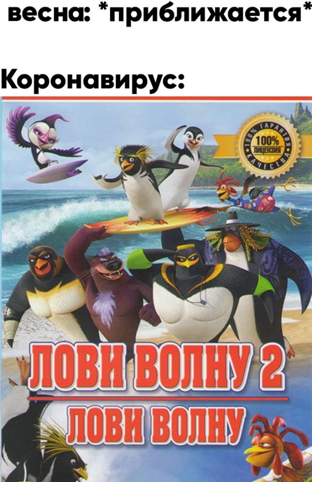15374692.jpg
