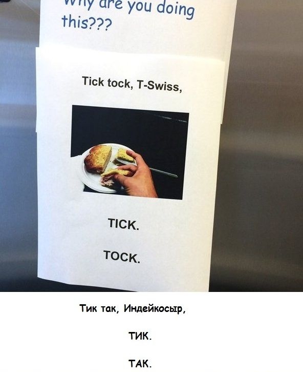 6074592.jpg