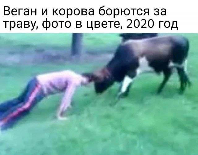 16317594.jpg