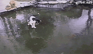 tumblr_ngqi8jNgmJ1s2yegdo1_400.gif