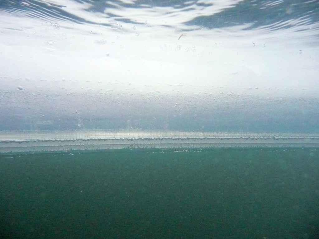 s-1231.JPG