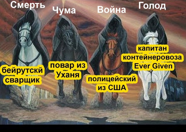 15396256.jpg