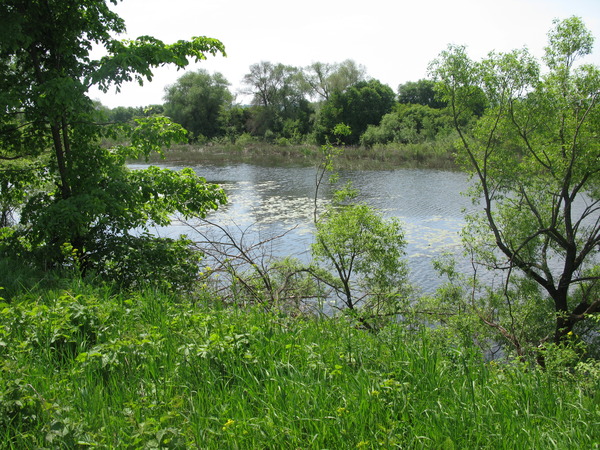 i-245.jpg