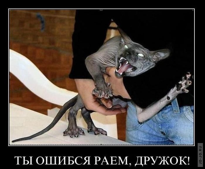 1293683784_demotivatory_31.jpg