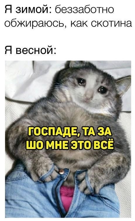 15406042.jpg