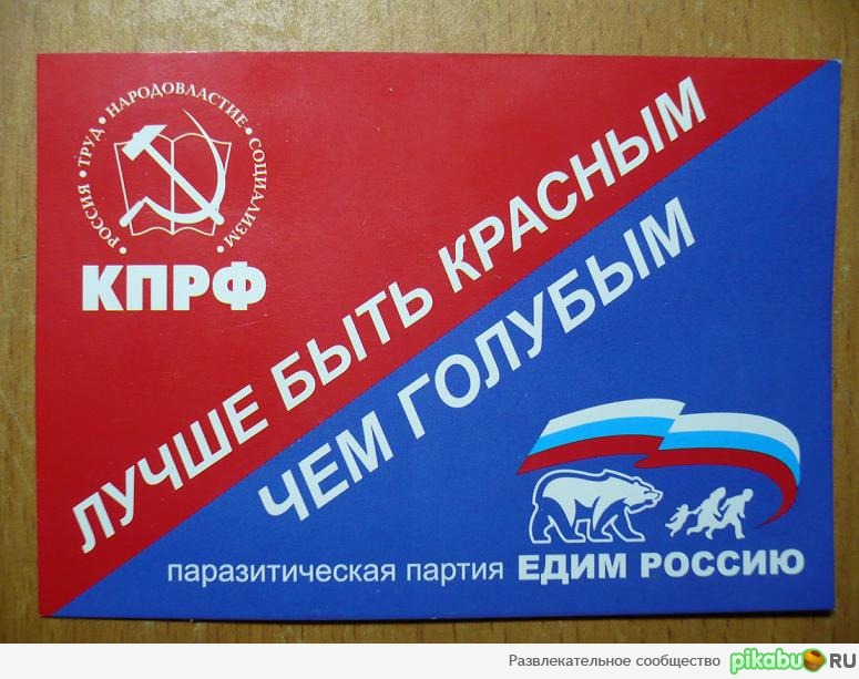 8zg.jpg