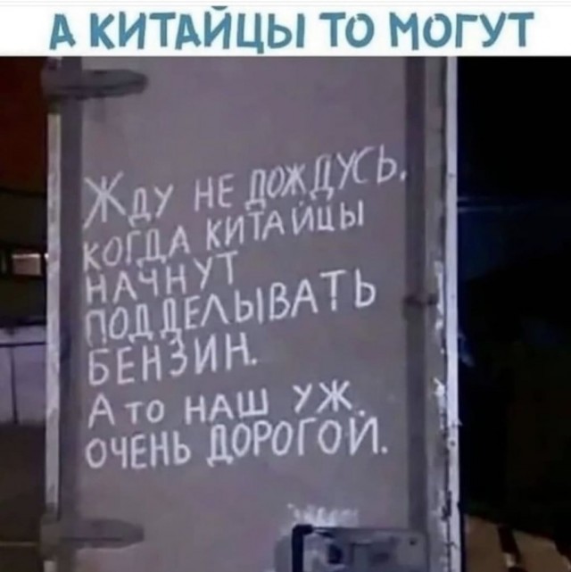 16145953.jpg