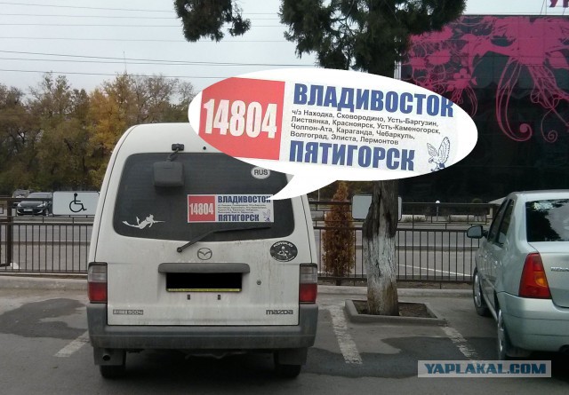 6537341.jpg