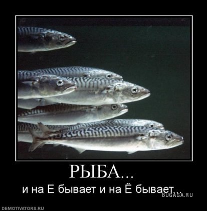 x_e1aba4c9.jpg
