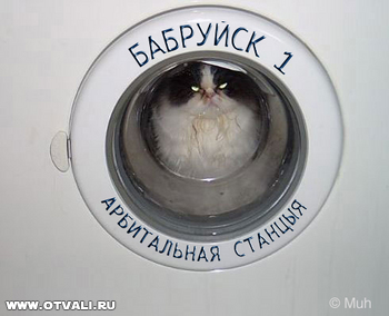 32944.jpg